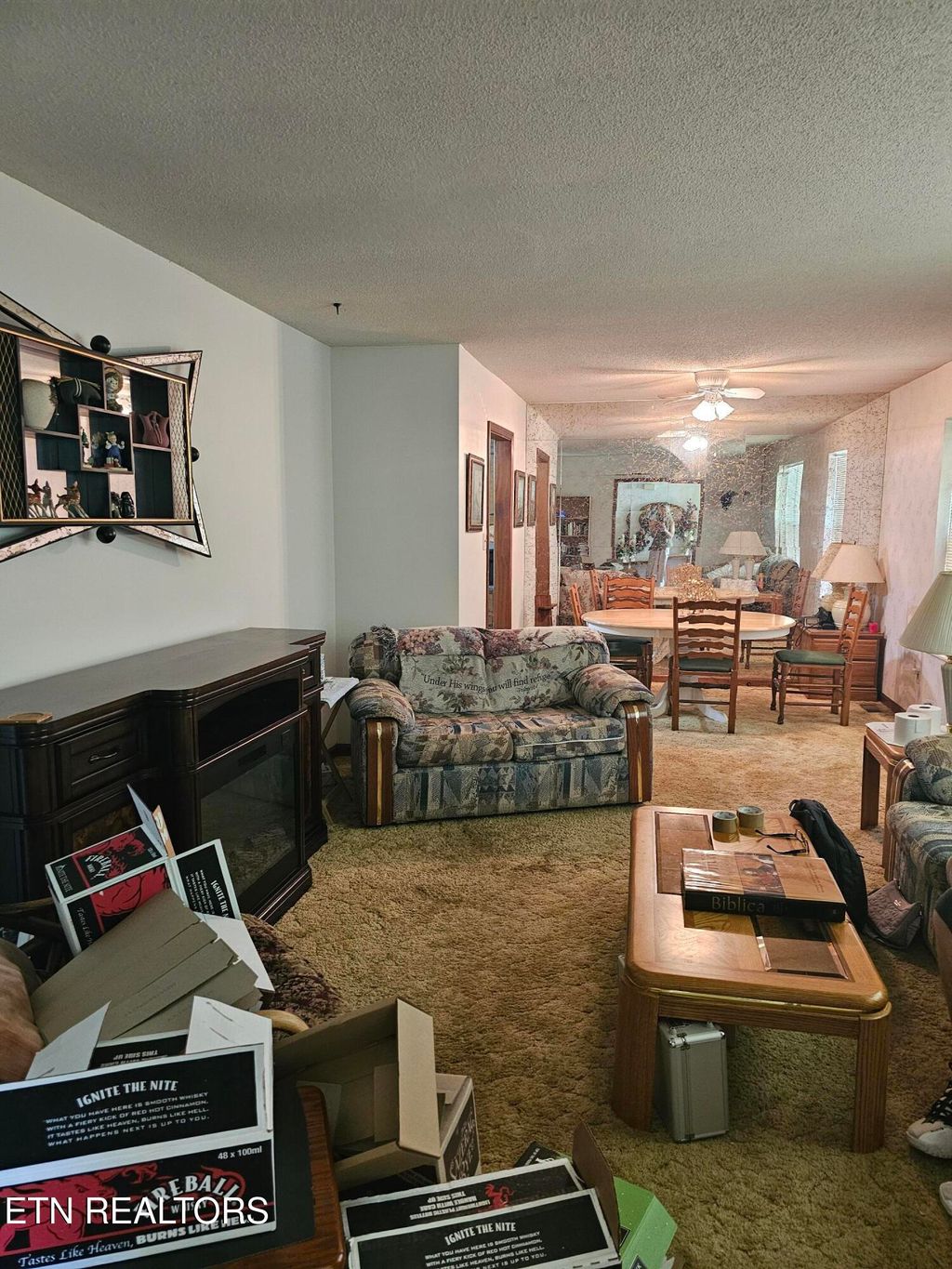 Photo of 103 Van Haven Drive, Seymour, TN 37865 (MLS # 1327437)