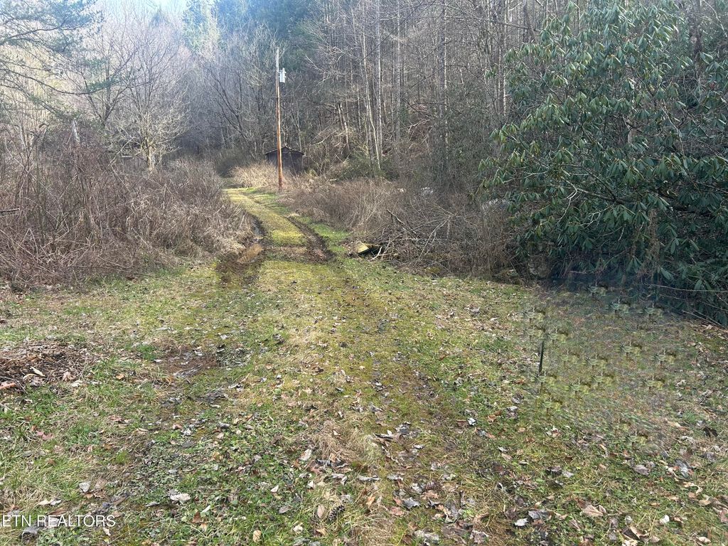 Photo of 4438 Bruce Ogle Way Way, Pigeon Forge, TN 37863 (MLS # 1327535)