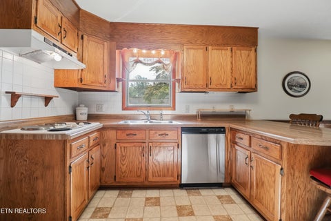 Tiny photo for 448 Sable Rd, Spring City, TN 37381 (MLS # 1356080)