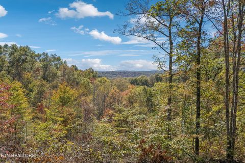 Photo of Sheep Ranch Rd, Robbins, TN 37852 (MLS # 1322883)