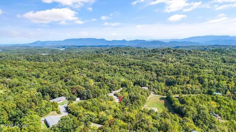 Tiny photo for 1009 Pleasure Rd, Sevierville, TN 37876 (MLS # 1315259)