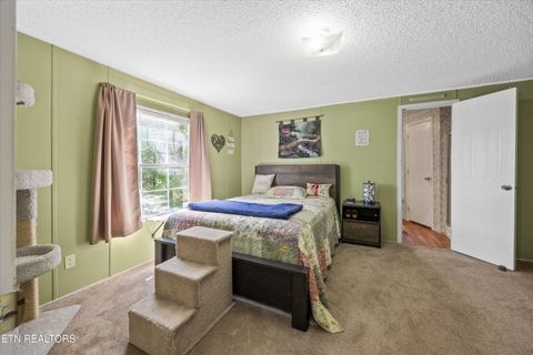 Tiny photo for 1009 Pleasure Rd, Sevierville, TN 37876 (MLS # 1315259)