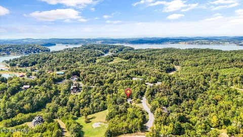 Tiny photo for 1009 Pleasure Rd, Sevierville, TN 37876 (MLS # 1315259)