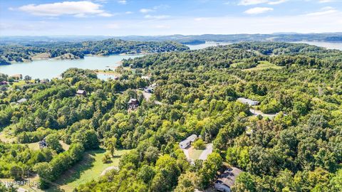 Tiny photo for 1009 Pleasure Rd, Sevierville, TN 37876 (MLS # 1315259)