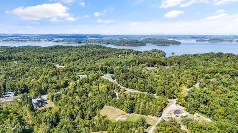Tiny photo for 1009 Pleasure Rd, Sevierville, TN 37876 (MLS # 1315259)