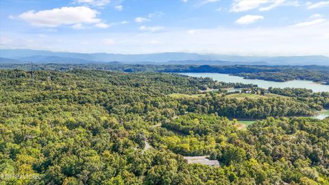 Tiny photo for 1009 Pleasure Rd, Sevierville, TN 37876 (MLS # 1315259)