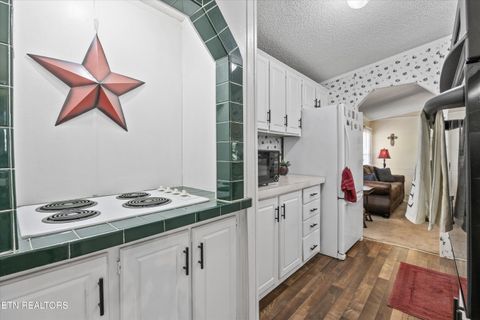 Tiny photo for 1009 Pleasure Rd, Sevierville, TN 37876 (MLS # 1315259)