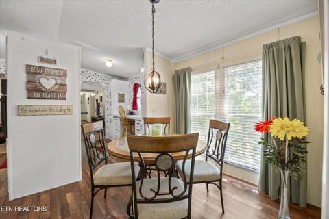 Tiny photo for 1009 Pleasure Rd, Sevierville, TN 37876 (MLS # 1315259)