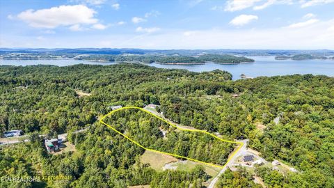 Tiny photo for 1009 Pleasure Rd, Sevierville, TN 37876 (MLS # 1315259)