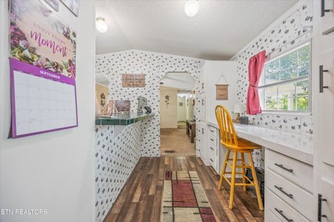Tiny photo for 1009 Pleasure Rd, Sevierville, TN 37876 (MLS # 1315259)
