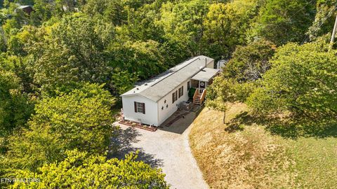 Tiny photo for 1009 Pleasure Rd, Sevierville, TN 37876 (MLS # 1315259)