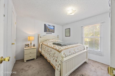 Tiny photo for 1009 Pleasure Rd, Sevierville, TN 37876 (MLS # 1315259)