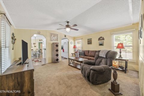 Tiny photo for 1009 Pleasure Rd, Sevierville, TN 37876 (MLS # 1315259)