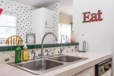 Tiny photo for 1009 Pleasure Rd, Sevierville, TN 37876 (MLS # 1315259)