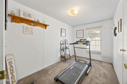 Tiny photo for 1009 Pleasure Rd, Sevierville, TN 37876 (MLS # 1315259)