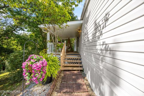 Tiny photo for 1009 Pleasure Rd, Sevierville, TN 37876 (MLS # 1315259)