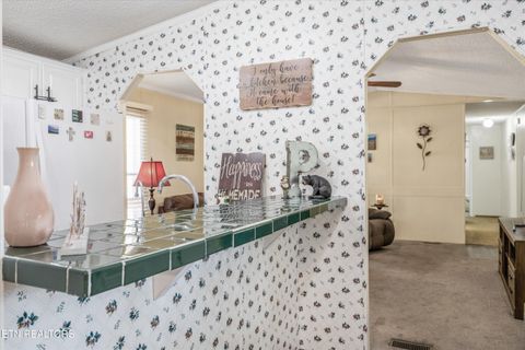Tiny photo for 1009 Pleasure Rd, Sevierville, TN 37876 (MLS # 1315259)