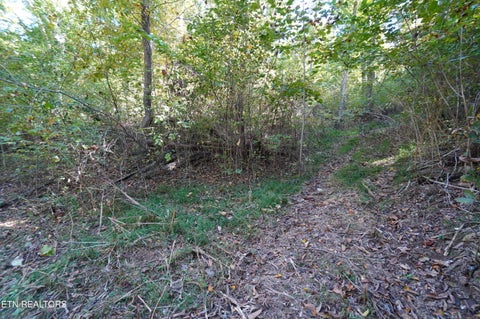 Tiny photo for Brotherton Rd, Jefferson City, TN 37760 (MLS # 1360023)