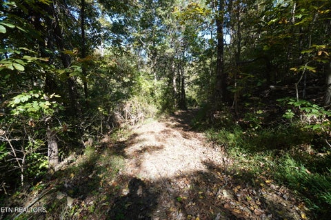 Tiny photo for Brotherton Rd, Jefferson City, TN 37760 (MLS # 1360023)