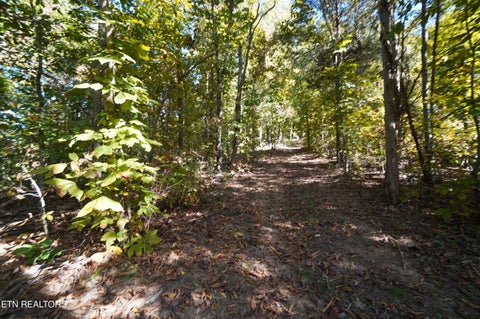 Tiny photo for Brotherton Rd, Jefferson City, TN 37760 (MLS # 1360023)
