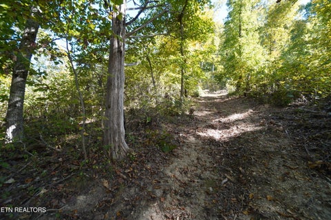 Tiny photo for Brotherton Rd, Jefferson City, TN 37760 (MLS # 1360023)