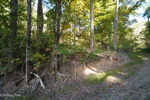 Tiny photo for Brotherton Rd, Jefferson City, TN 37760 (MLS # 1360023)