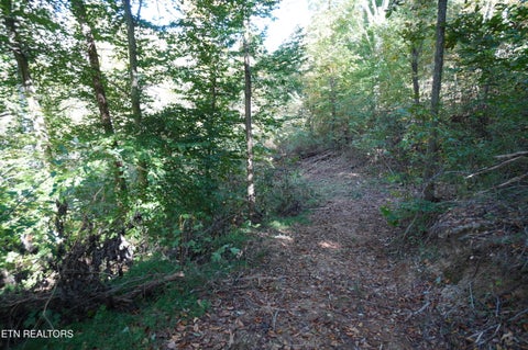 Tiny photo for Brotherton Rd, Jefferson City, TN 37760 (MLS # 1360023)