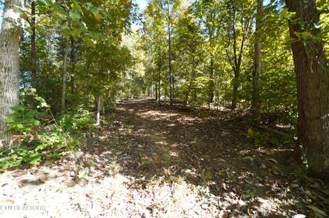 Tiny photo for Brotherton Rd, Jefferson City, TN 37760 (MLS # 1360023)