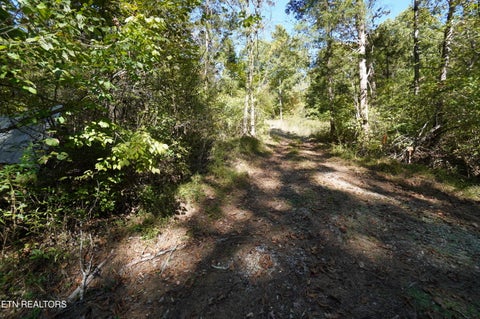 Tiny photo for Brotherton Rd, Jefferson City, TN 37760 (MLS # 1360023)