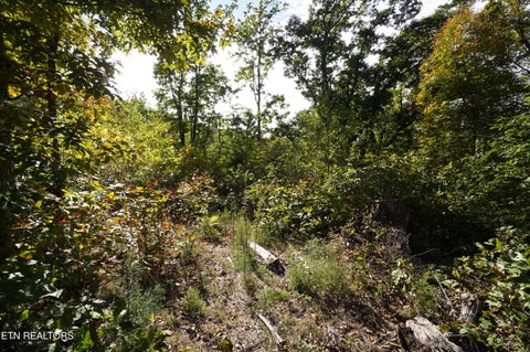 Tiny photo for Brotherton Rd, Jefferson City, TN 37760 (MLS # 1360023)
