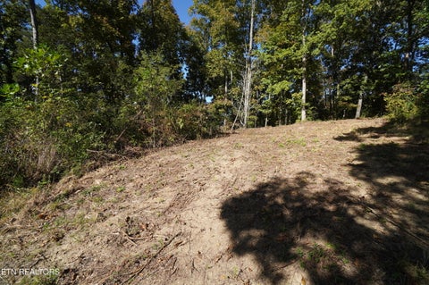 Tiny photo for Brotherton Rd, Jefferson City, TN 37760 (MLS # 1360023)