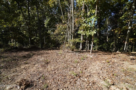 Tiny photo for Brotherton Rd, Jefferson City, TN 37760 (MLS # 1360023)