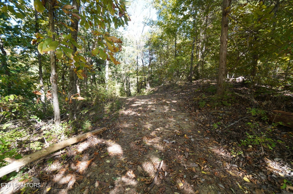 Photo of Brotherton Rd, Jefferson City, TN 37760 (MLS # 1360023)