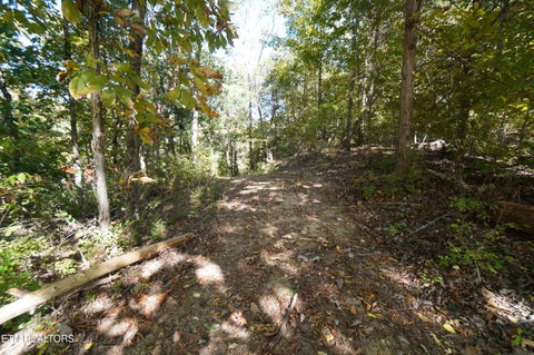 Photo of Brotherton Rd, Jefferson City, TN 37760 (MLS # 1360023)