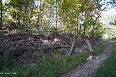Tiny photo for Brotherton Rd, Jefferson City, TN 37760 (MLS # 1360023)