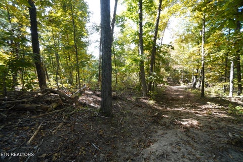 Tiny photo for Brotherton Rd, Jefferson City, TN 37760 (MLS # 1360023)
