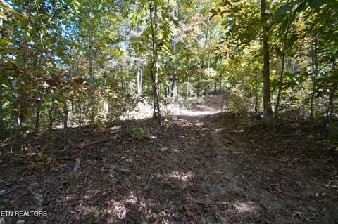 Tiny photo for Brotherton Rd, Jefferson City, TN 37760 (MLS # 1360023)