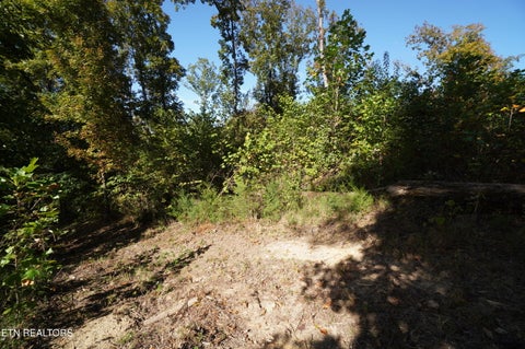 Tiny photo for Brotherton Rd, Jefferson City, TN 37760 (MLS # 1360023)