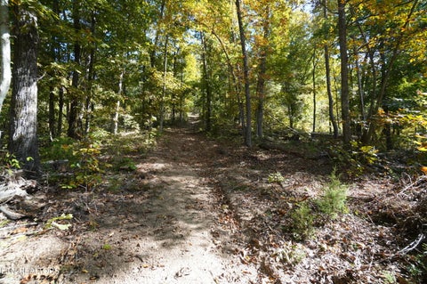 Tiny photo for Brotherton Rd, Jefferson City, TN 37760 (MLS # 1360023)