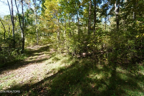 Tiny photo for Brotherton Rd, Jefferson City, TN 37760 (MLS # 1360023)