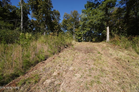 Tiny photo for Brotherton Rd, Jefferson City, TN 37760 (MLS # 1360023)