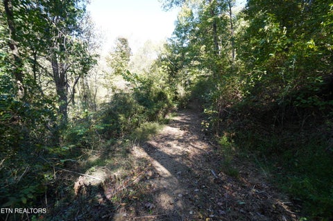 Tiny photo for Brotherton Rd, Jefferson City, TN 37760 (MLS # 1360023)