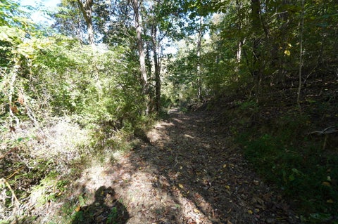 Tiny photo for Brotherton Rd, Jefferson City, TN 37760 (MLS # 1360023)