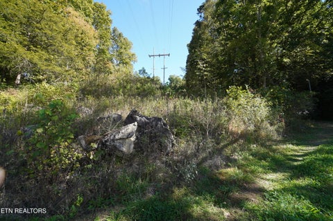 Tiny photo for Brotherton Rd, Jefferson City, TN 37760 (MLS # 1360023)