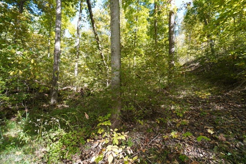 Tiny photo for Brotherton Rd, Jefferson City, TN 37760 (MLS # 1360023)