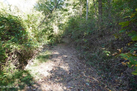 Tiny photo for Brotherton Rd, Jefferson City, TN 37760 (MLS # 1360023)