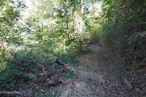 Tiny photo for Brotherton Rd, Jefferson City, TN 37760 (MLS # 1360023)
