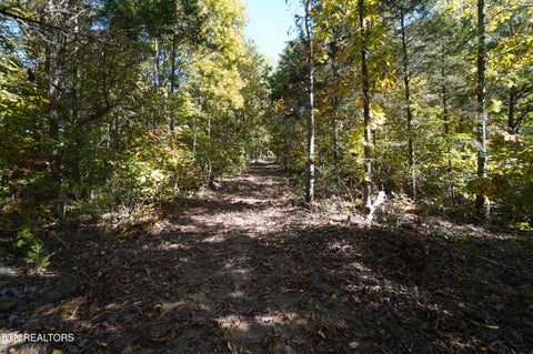 Tiny photo for Brotherton Rd, Jefferson City, TN 37760 (MLS # 1360023)