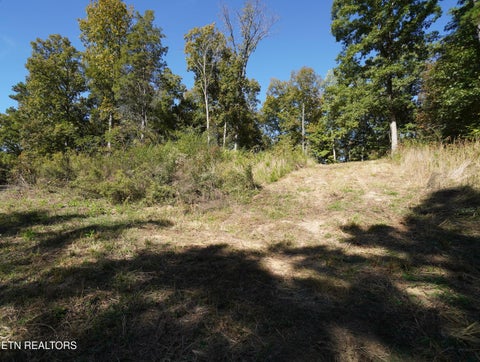 Tiny photo for Brotherton Rd, Jefferson City, TN 37760 (MLS # 1360023)