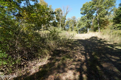 Tiny photo for Brotherton Rd, Jefferson City, TN 37760 (MLS # 1360023)